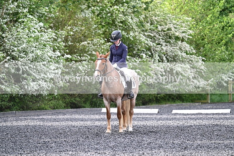 WJ7_8118 - Time 10:11 to 10:27