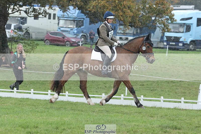 251024A-145544-14316 - G-575-Victoria.Woodland