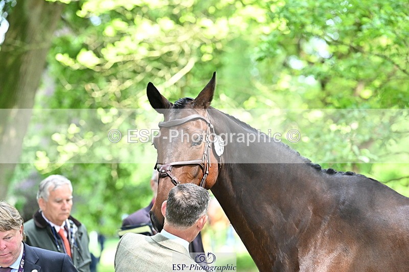 250521A-151528-00378 - B-355-Andrew.James-PRIMITIVE.PROPOSITION