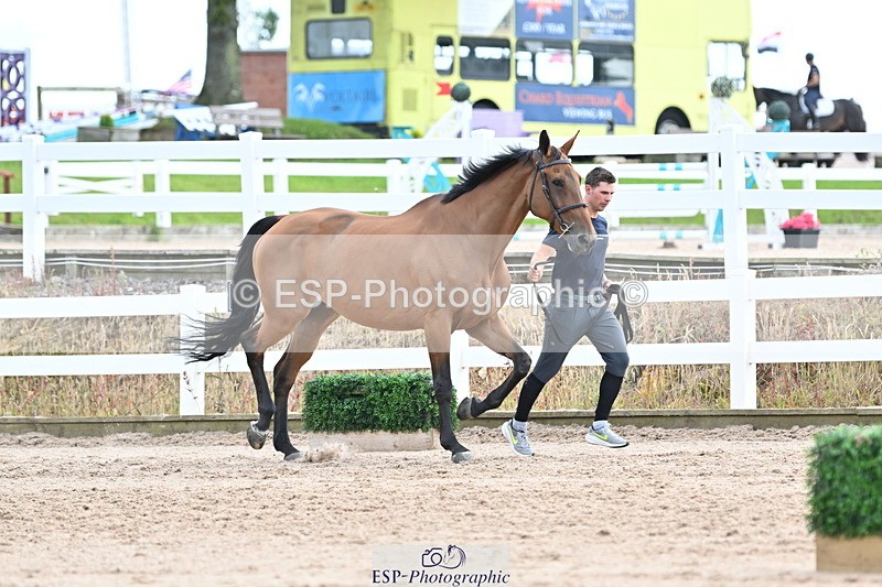 240717A-143621-02142 - Trot Up 2pm to 3pm - This folder is not in time order