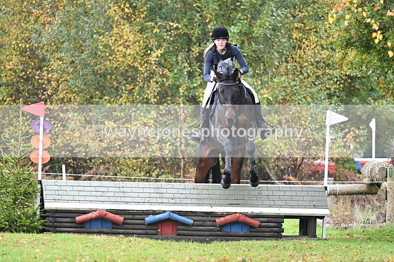 WJ7_1150 - 80cm Cam 2 Water Time 11:29 to 11:46