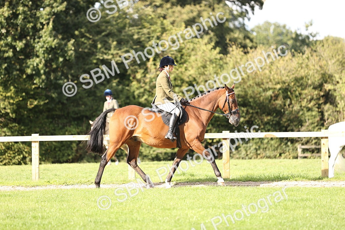 SBM_26340 - S6 - Novice & Newcomers Ridden Horse