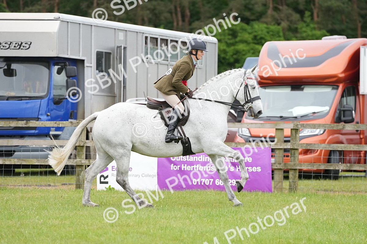 SBM_12840 - Class 97-98 - LIHS BSHA Rising Star Working Show Horse Hunter
