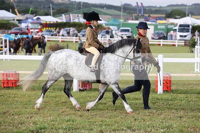 JPP_0307 - Class 14: Cornish Combination Leading Rein