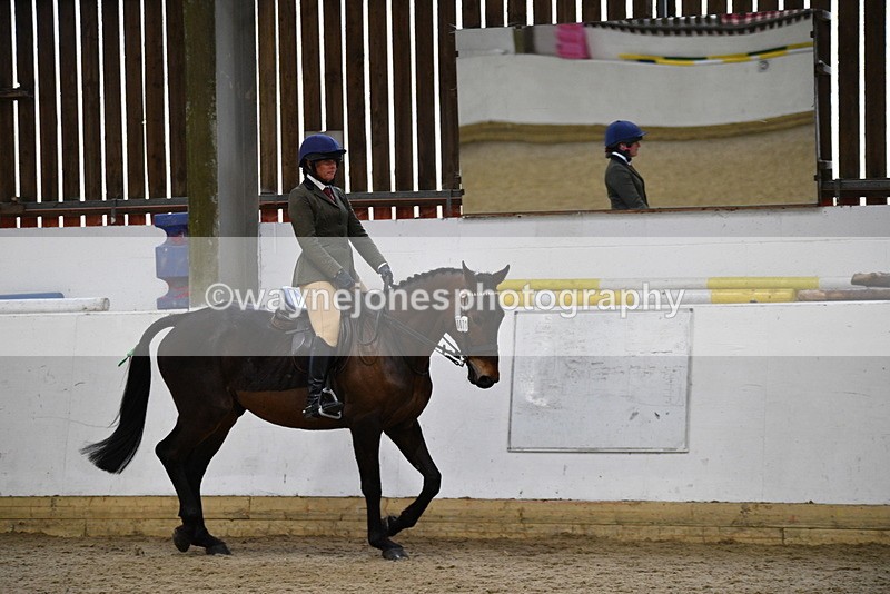 WJ5_7997 - Class 13 Ridden Part Breed