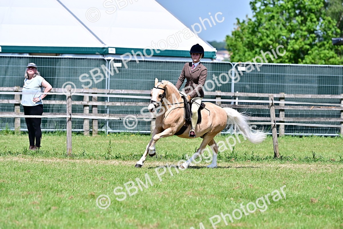 SBM_15338 - Class 95-97 - BSPS LHS Performance Ponies
