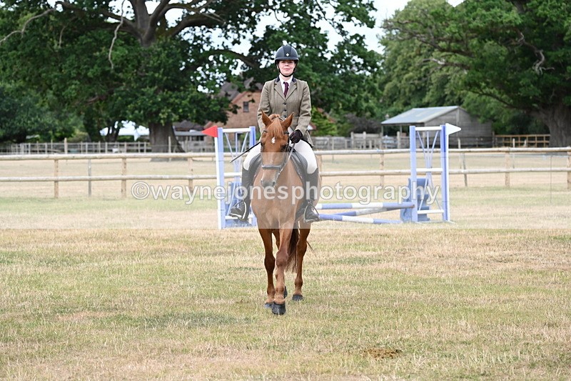 WJ6_3946 - Class 9 Tack & Turnout