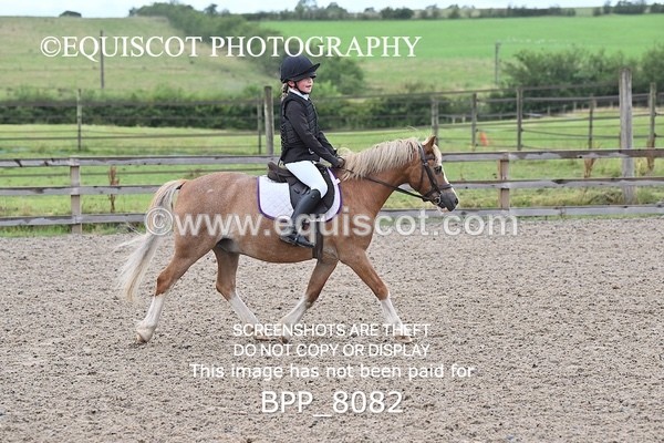 BPP_8082 - 20CM