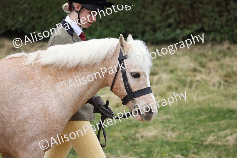 20250524-0638 - Class 7 - Veteran