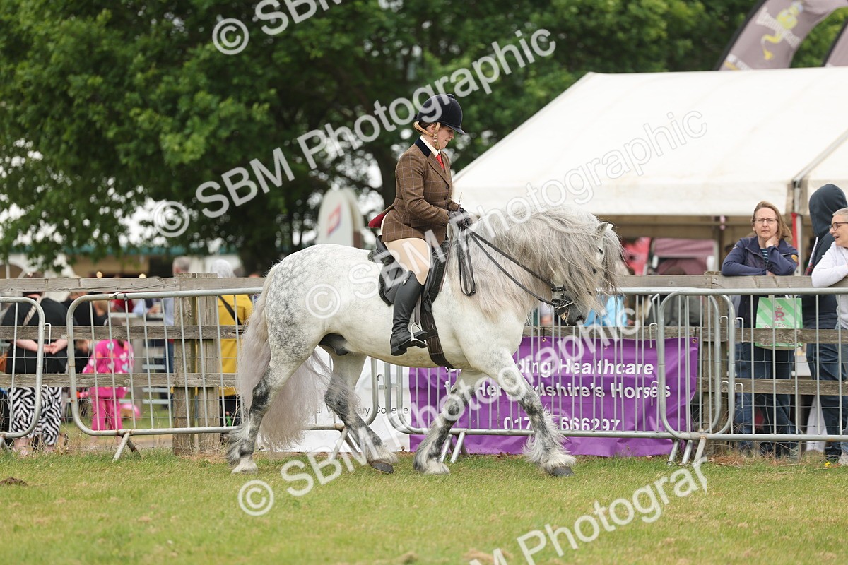 SBM_08930 - Class 78-80 - Ridden M&M Non Welsh Ponies
