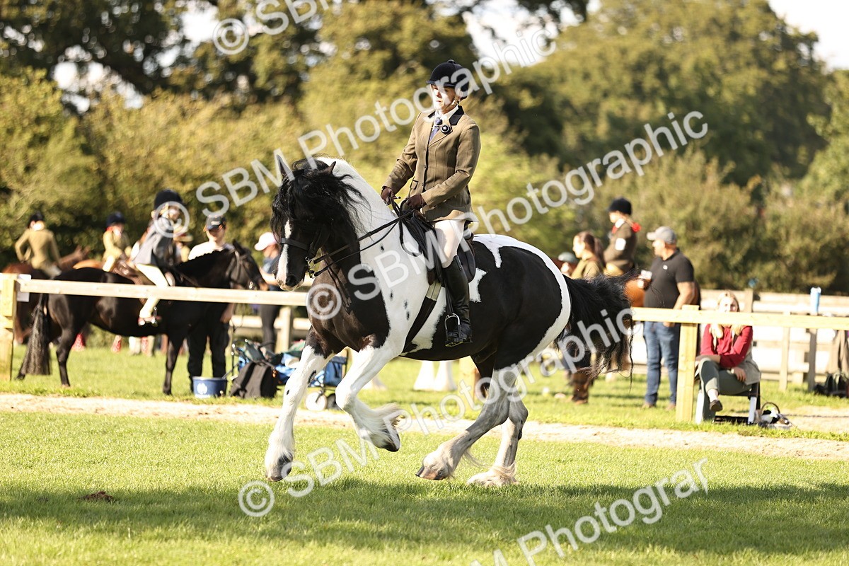 SBM_26427 - S6 - Novice & Newcomers Ridden Horse