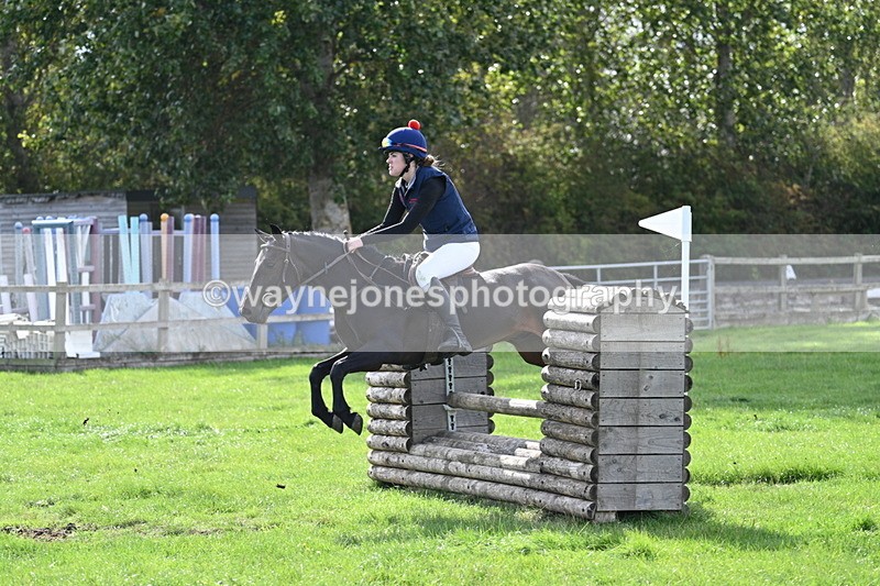 WJ7_8605 - 60cm Pairs