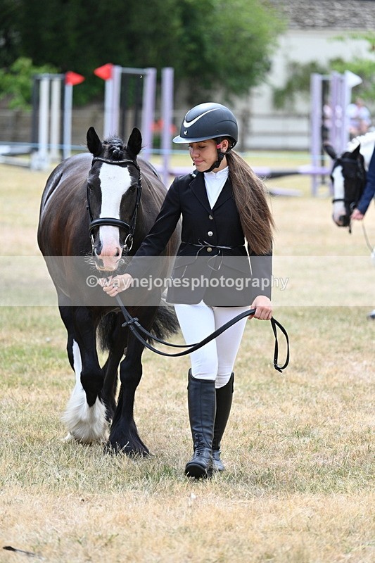 WJ7_1398 - Class 4 Prettiest Mare up to 14.2hh in hand