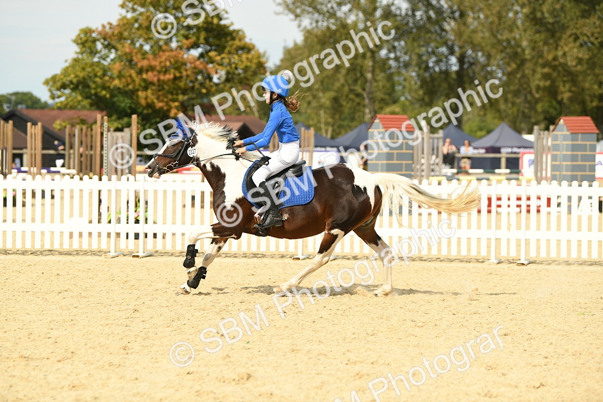 SBM_65200 - J48 - Pairs Jumping Open 70cm & 85cm