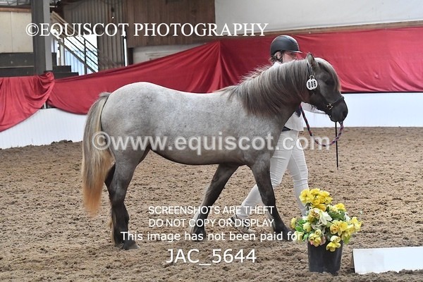 JAC_5644 - 6 Glenmuir Niamh