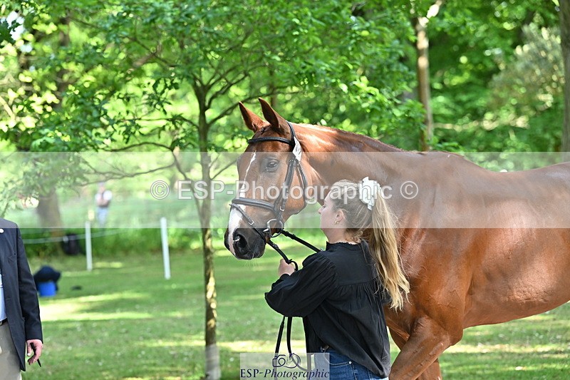 250521A-153805-00651 - B-322-Amelia.Winter-WOLK