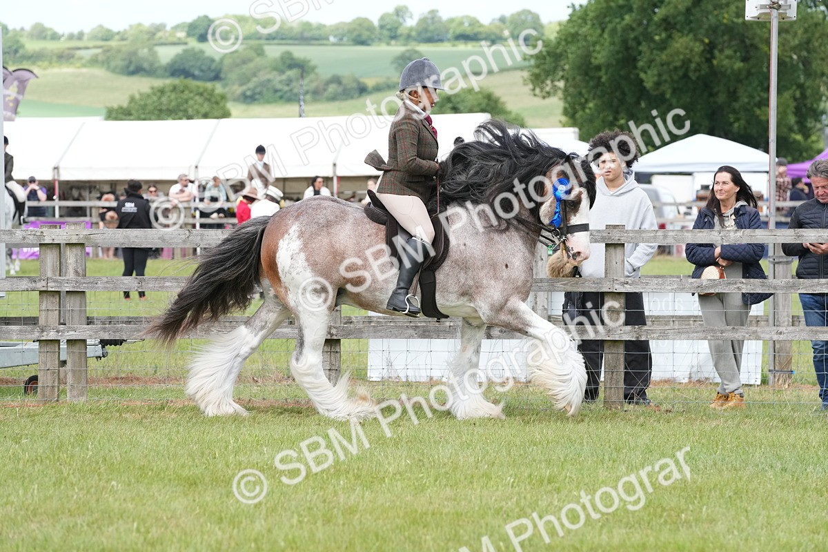 SBM_17653 - Class 107-108 - LIHS BSPS Performance Coloured Horse Pony