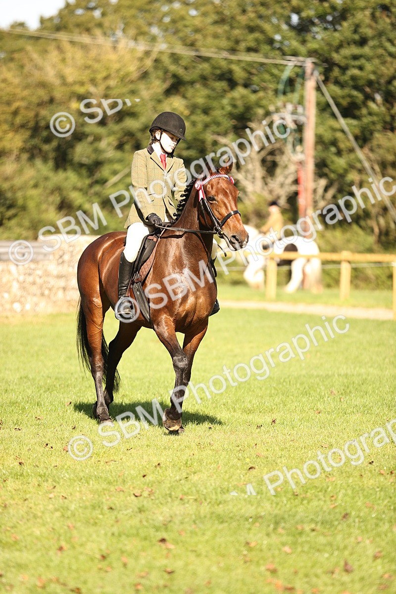 SBM_17010 - S2 - TSR Ridden Pony Showing