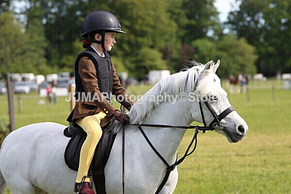 IMG_2124 - Working Hunter