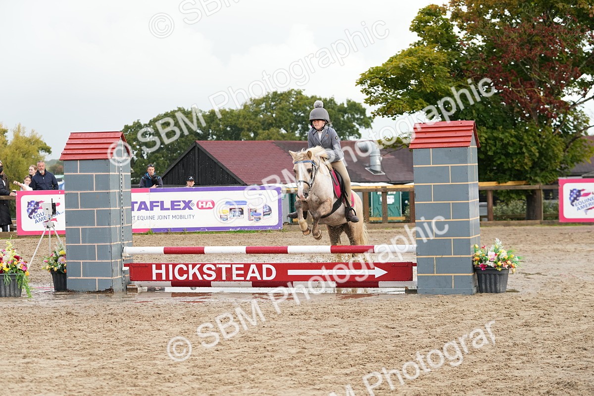 SBM_32390 - J5 - Junior Pony 50cm Championship