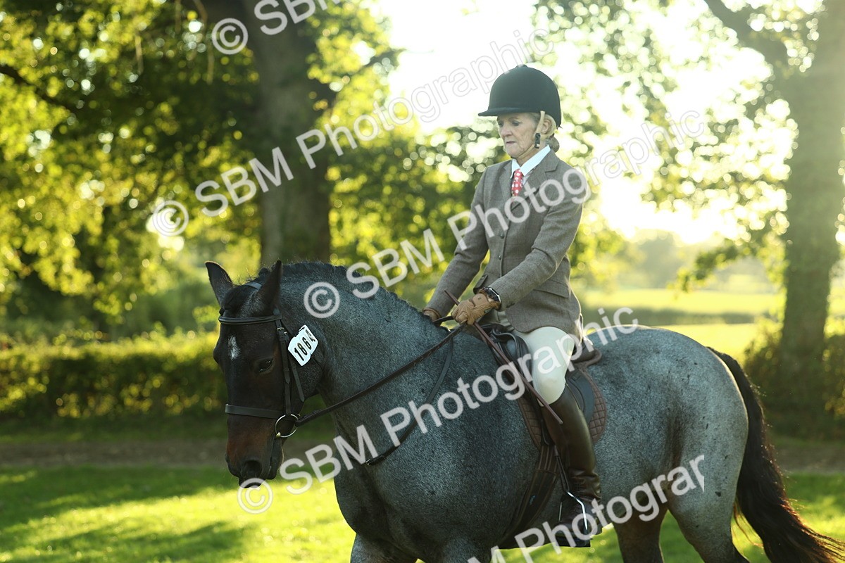 SBM_55635 - S14 - Riding Club Horse