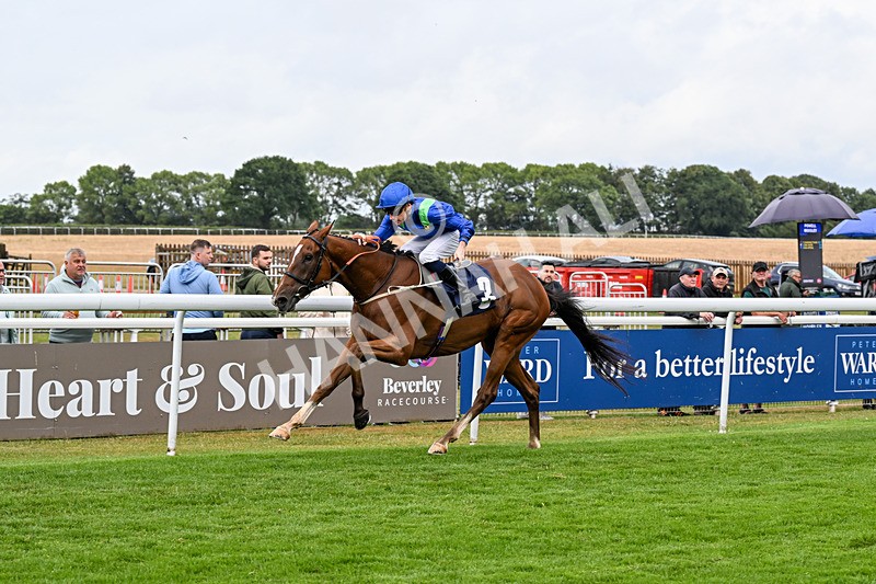 150725-Race 5-Sax Appeal-0785 - Race 5