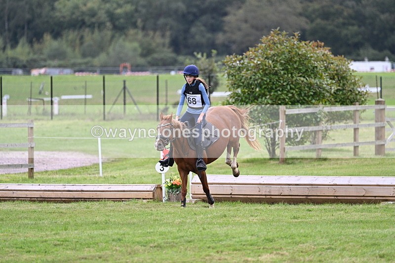 WJ7_9074 - 60cm Time 12:51 to 13:18