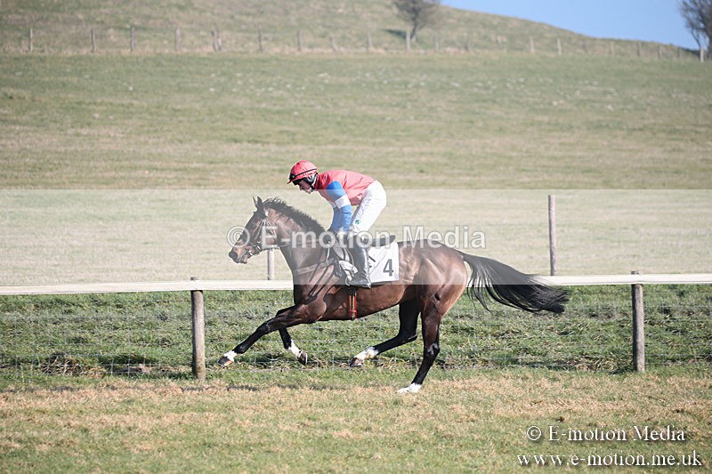 PtP 230219 147 - Vine & Craven Point-To-Point - Barbury 23/02/19