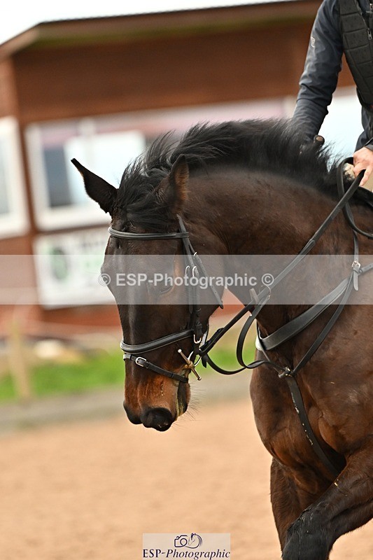 241215-140310-01151 - 1m