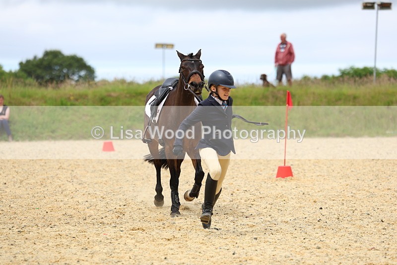 3E7A9637 - Walk trot run