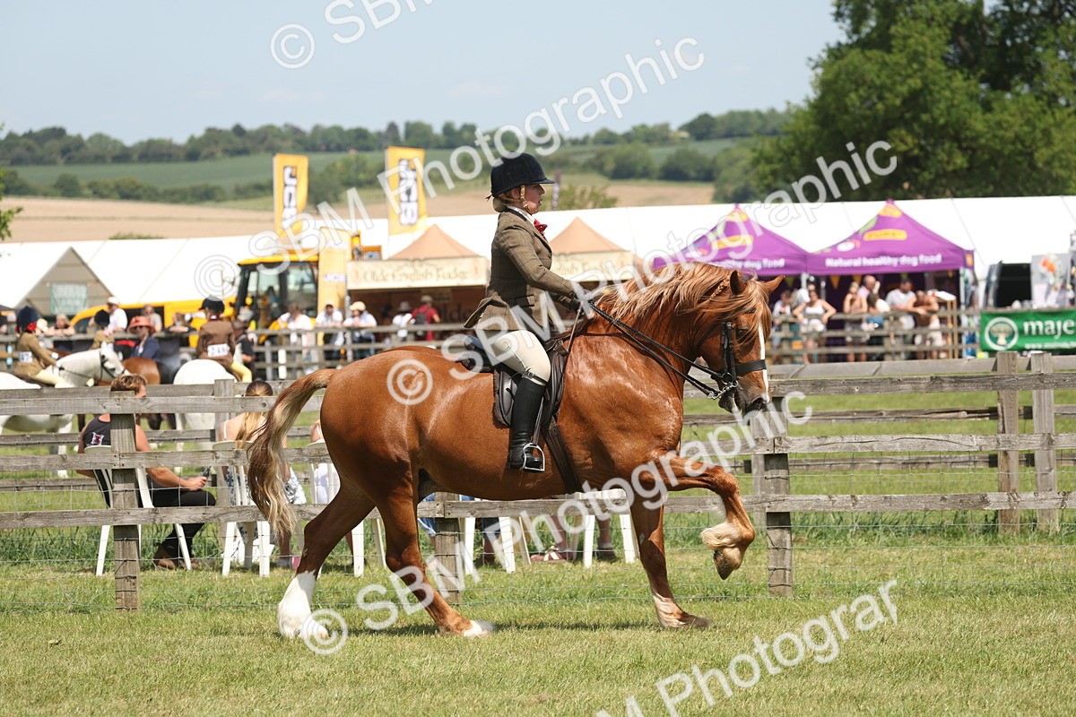 SBM_06930 - Class 26-30 - Mountain and Moorland Ridden
