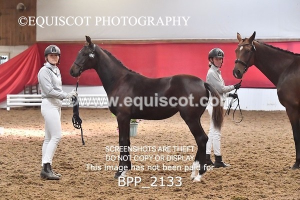 BPP_2133 - AFTERNOON 12.30 - 3.30PM