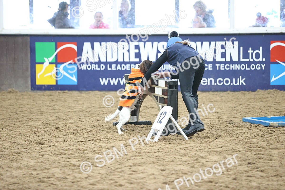SBM_001213 - Class 3 - Horse & Hound 60cm
