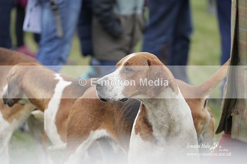 PtP 190323 499 - Oakley Hunt Point-to-Point Brafield-On-The-Green 19/03/23