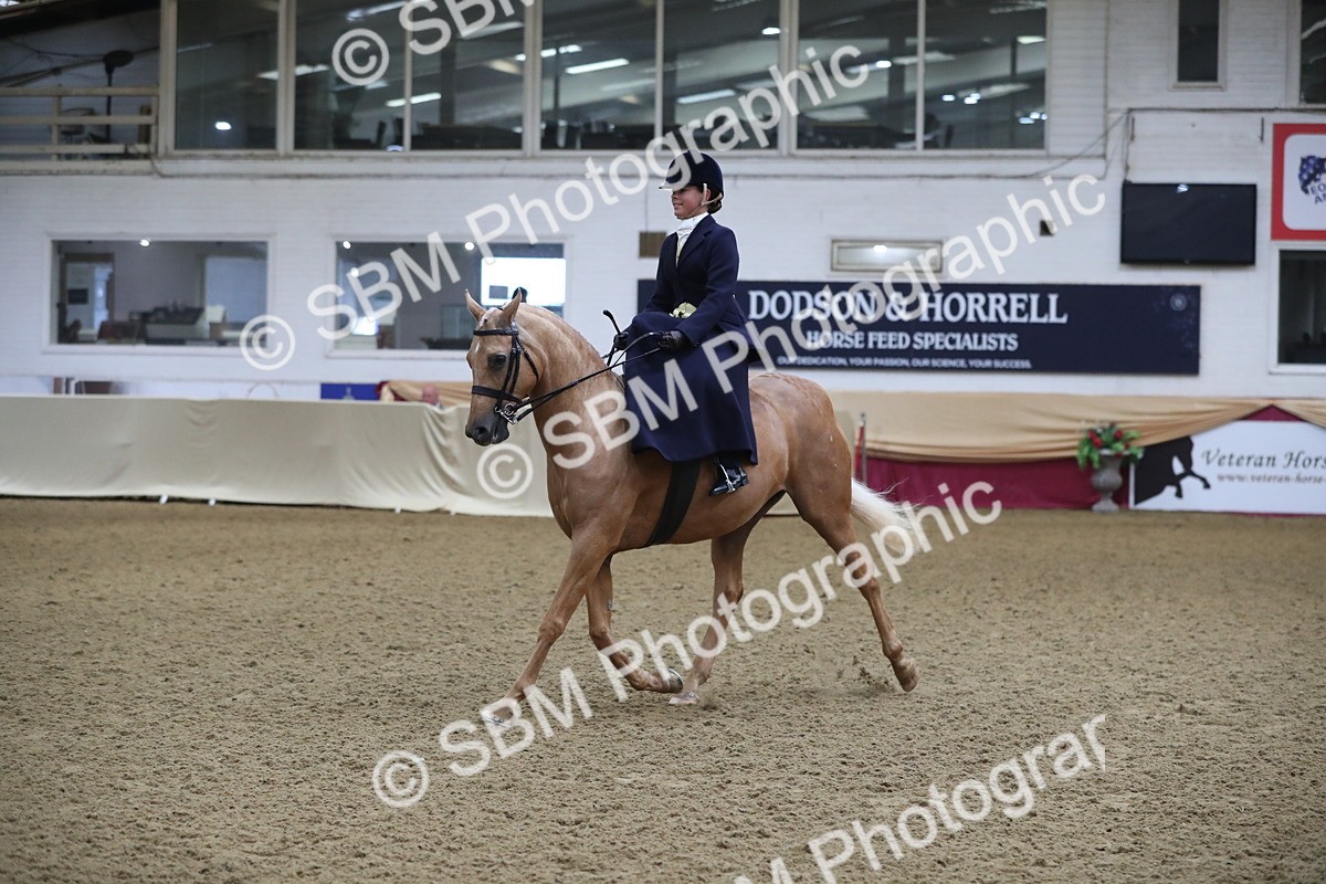 SBM_09297 - Class 101 Equitation (best rider), Junior