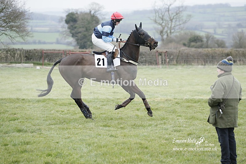 PtP 050323 600 - Blackmore & Sparkford Vale Hunt PtP - Somerset 05/03/23