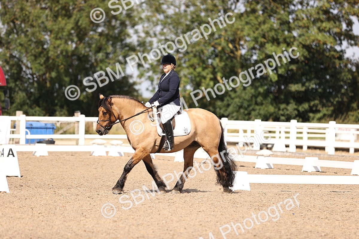 SBM_03599 - CLass 35 Intro 3