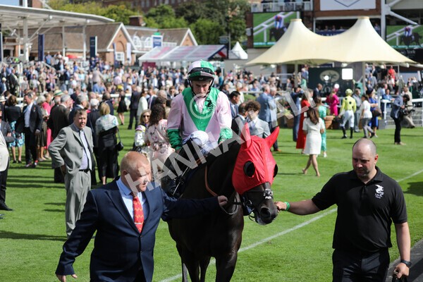 yr19082022r4-34 - Race 4 3.35pm Coolmore Wootton Bassett Nunthorpe Stakes (British Champion Series Race)