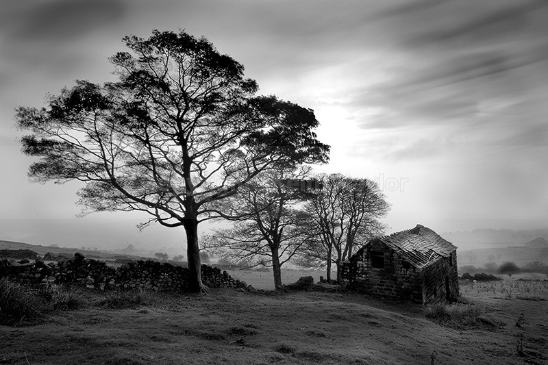 Roach End Farm - 2007