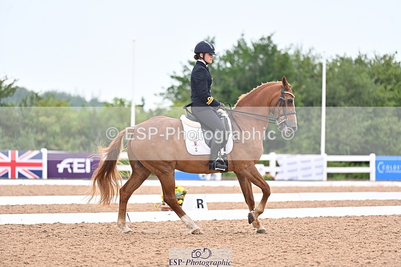 240815A-140252-01743 - 170-India.John-Grayswood.Orlando