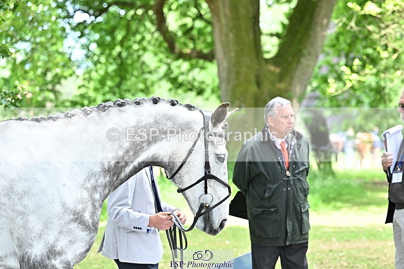 250521A-152521-00500 - B-311-Barnie.Brotherton-WHIXLEY.QUALITAS