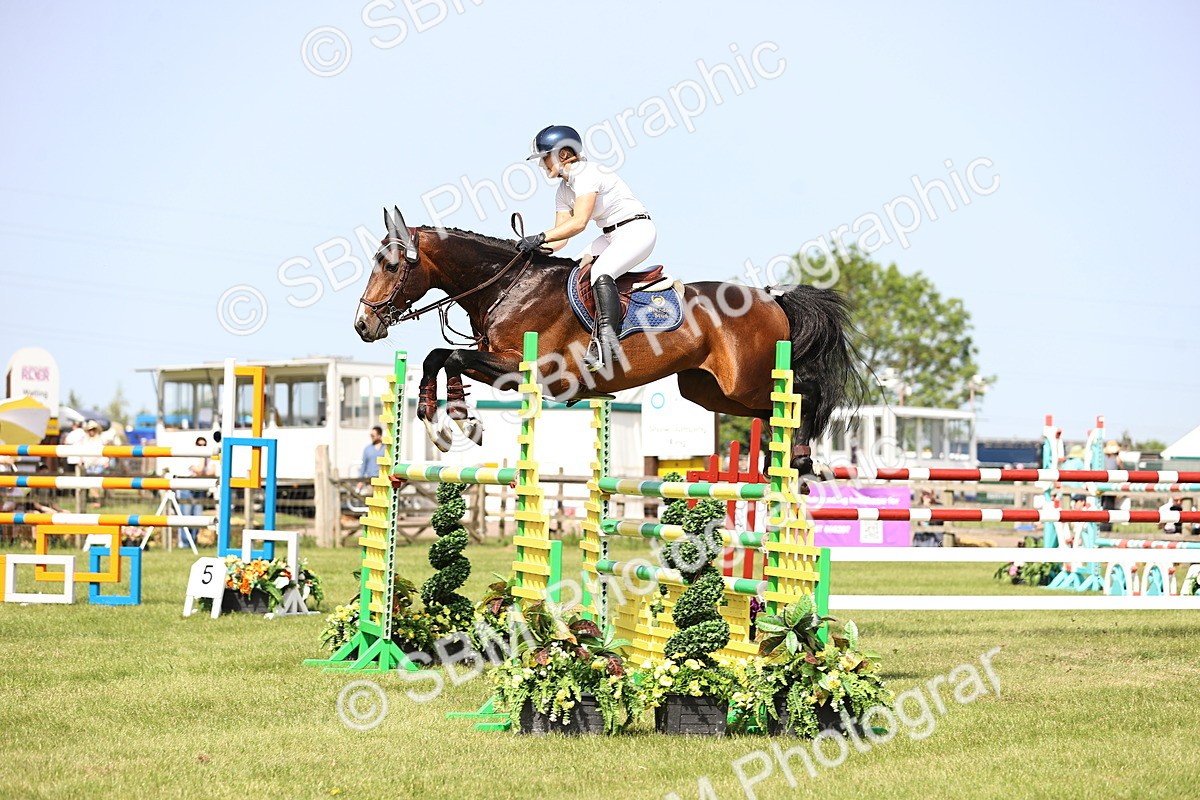 SBM_03020 - Class 201 - British Horse Feedds Speedi Beet HOYS Grade C