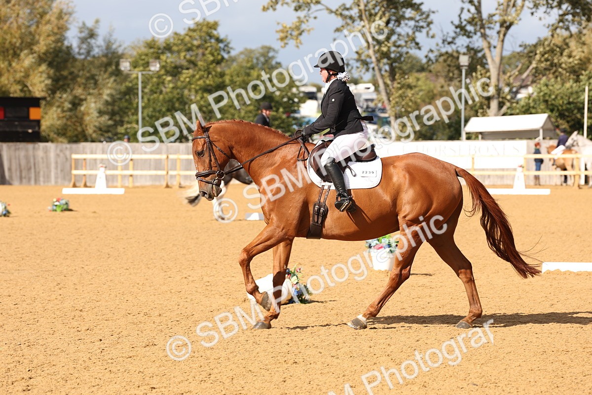 SBM_24597 - D17 - Grand Tour Championship Novice 3