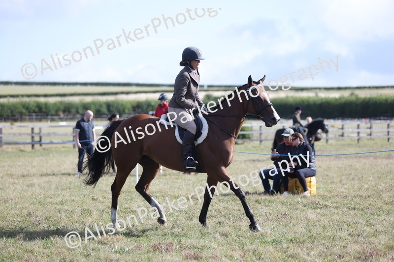 20250831-0913 - Class 14 - Ex Racehorse