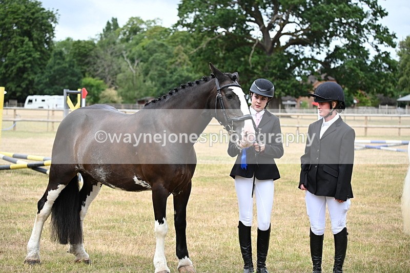 WJ6_4461 - Class 10 Coloured In-hand