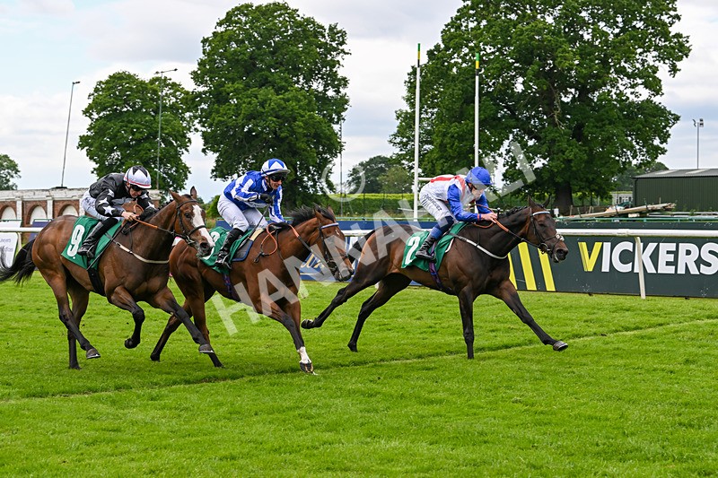 070624-Race 5-Kings Merchant-9995 - Race 5