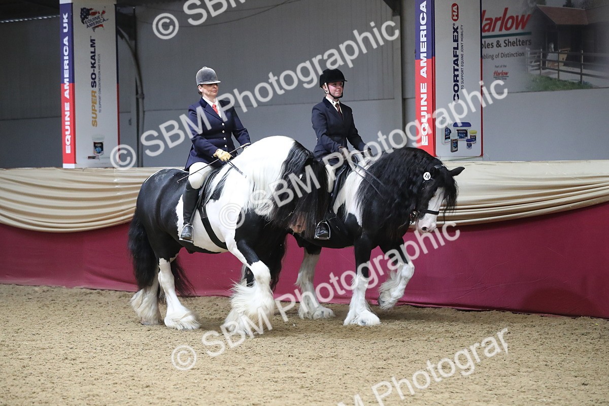 SBM_13637 - Class 109 Ridden Pairs - Section B