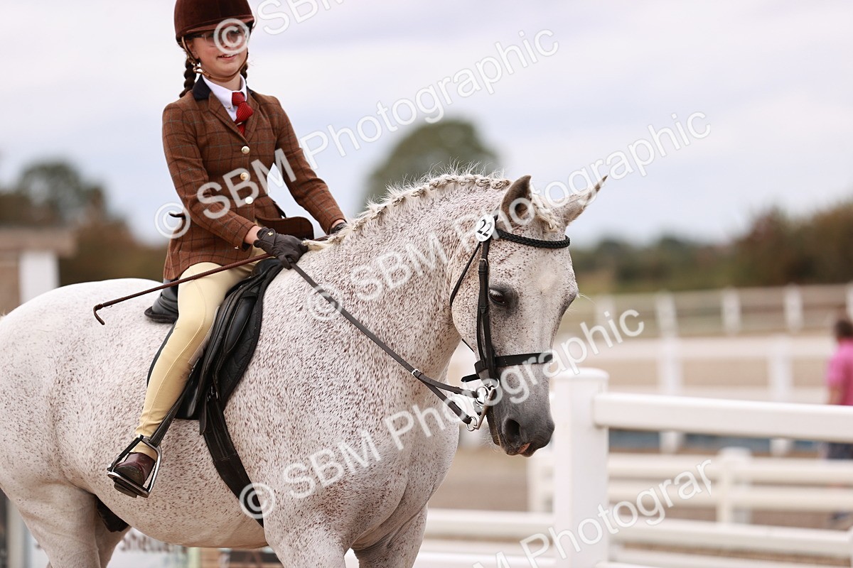 SBM_18535 - Class 421 - Childs Best Friend - Jnr