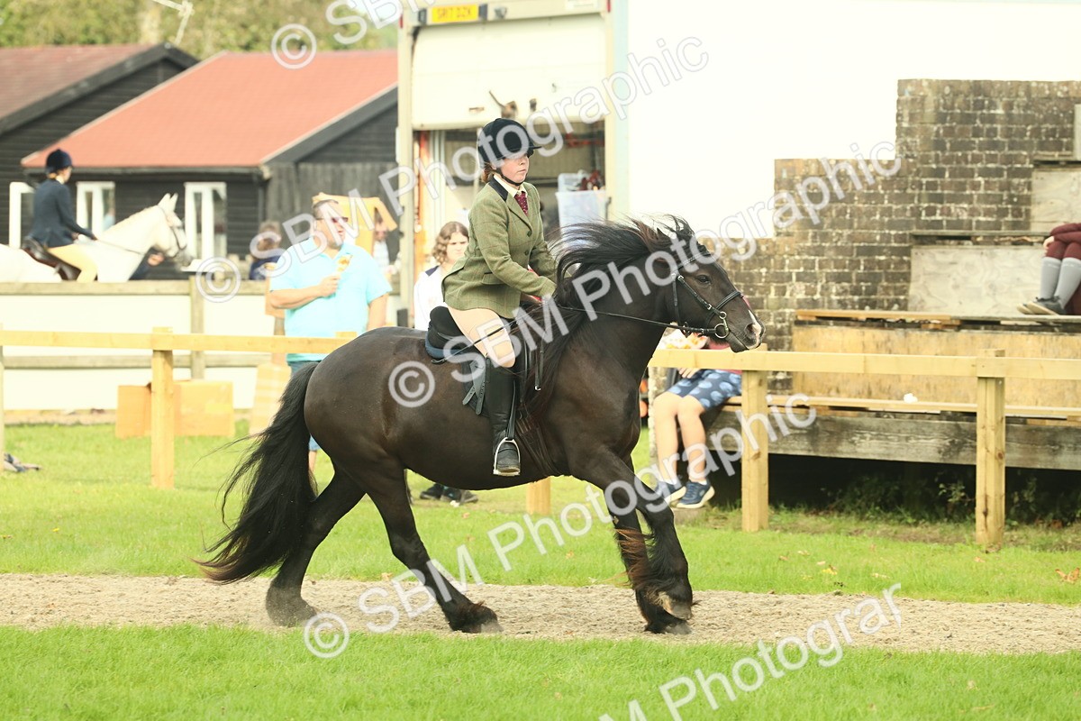 SBM_69359 - S58 - Mini Show Cob Ridden
