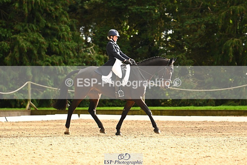 231021-153213-20883 - 259-BOSTON.IV-Rosie.Thomson-DR